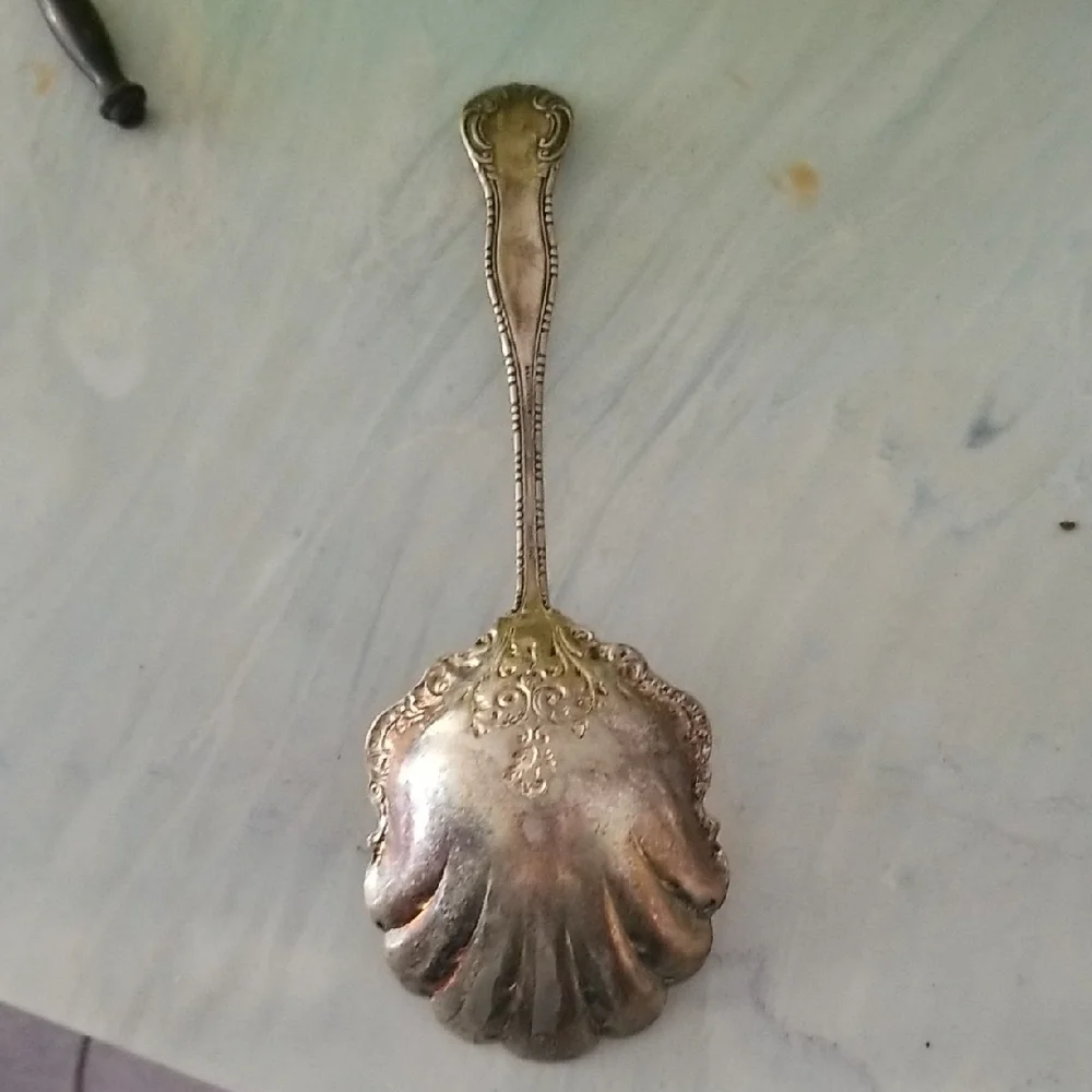 Vintage Elegant Silver Plated Decorative Spoon